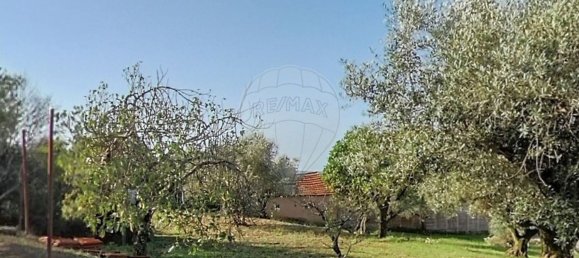 6 غرف نوم منزل في Tomar, Portugal رقم 24254 5