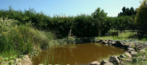 Земельный участок в Wittenberg, Германия № 268105 14