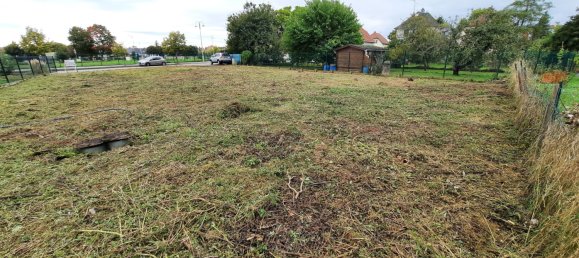 Terrain à Uffholtz, France No. 260609 4