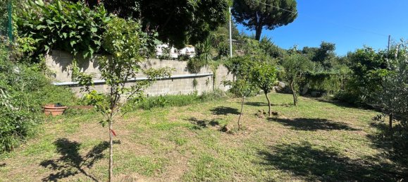 3-Zimmer Haus in Celle Ligure, Italy, Nr. 266535 30