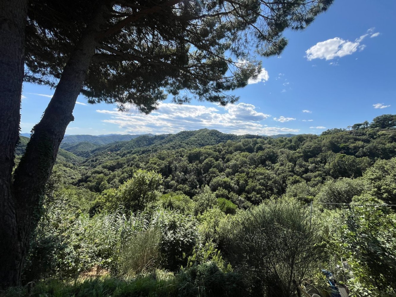 3-Zimmer Haus in Celle Ligure, Italy, Nr. 266535