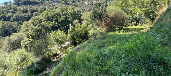 3-Zimmer Haus in Celle Ligure, Italy, Nr. 266535 3