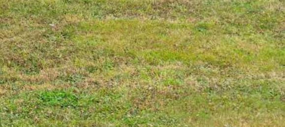 504m² Land in Orgerus, France No. 110279 2