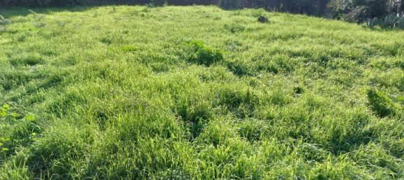 Terreno em Aci Sant'Antonio, Italy N.º 325358 2