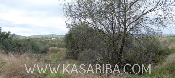 1106m² Land in Almenara, Spain No. 75737 9