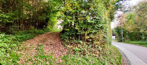 Земельный участок 1521м² в Ламбах, Австрия № 127946 15