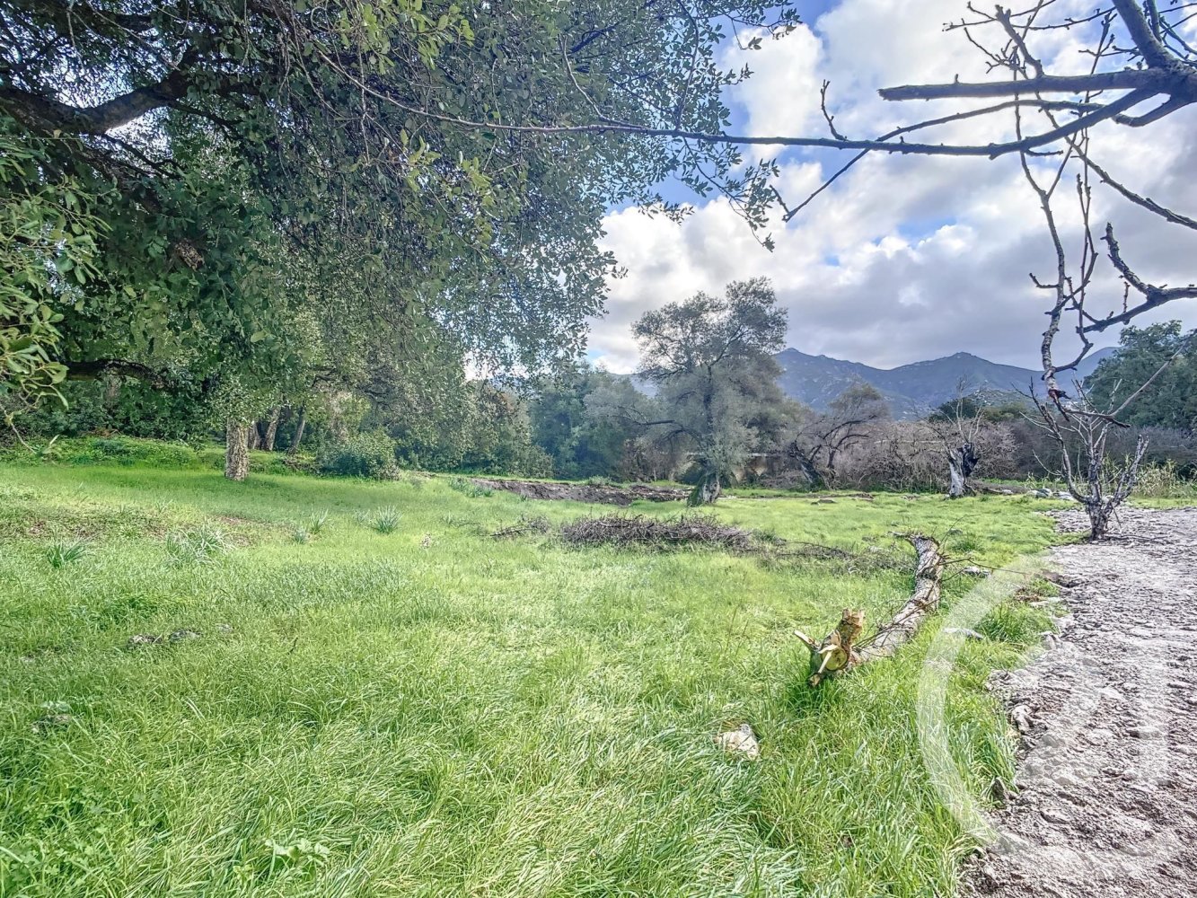 Grundstück in Oletta, France, Nr. 87929