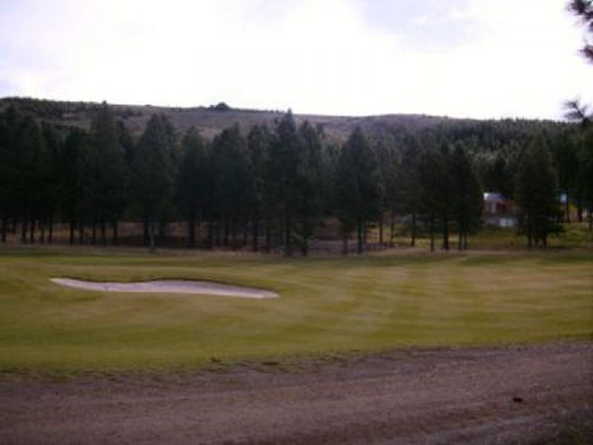  Land in Neuquen, Argentina No. 45973