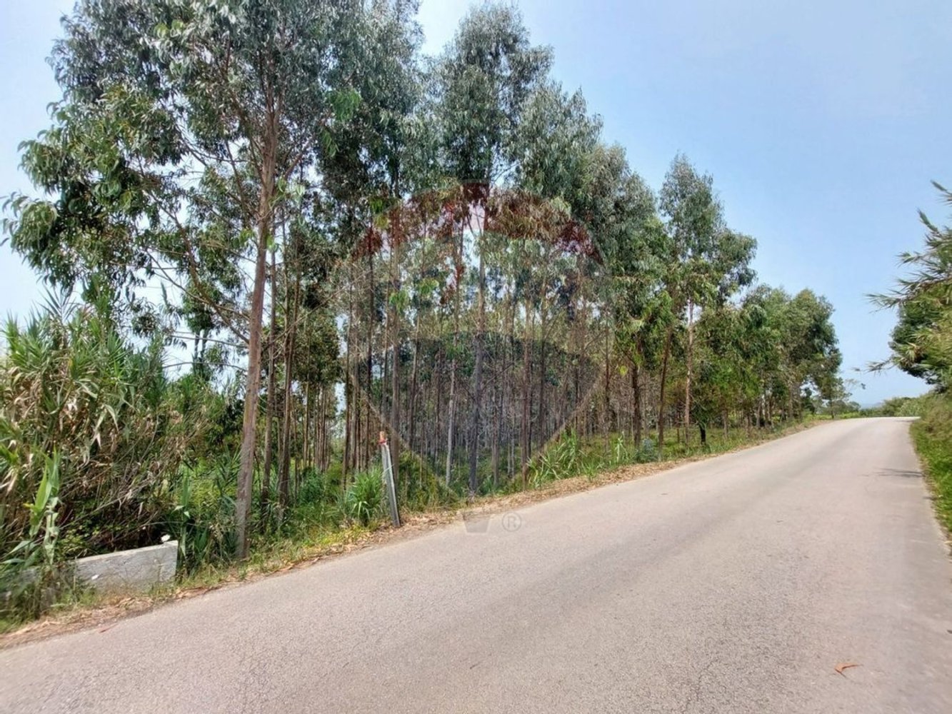 Земельный участок 3440м² в Назаре, Португалия № 60651