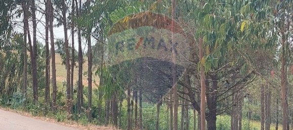 Земельный участок 3440м² в Назаре, Португалия № 60651 8