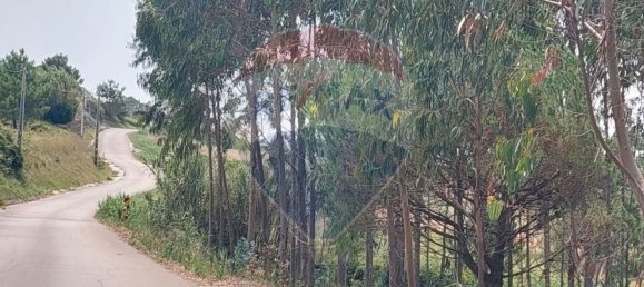 Земельный участок 3440м² в Назаре, Португалия № 60651 7