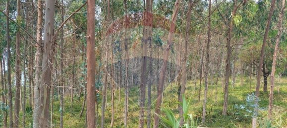 Земельный участок 3440м² в Назаре, Португалия № 60651 4