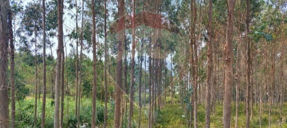 Земельный участок 3440м² в Назаре, Португалия № 60651 5