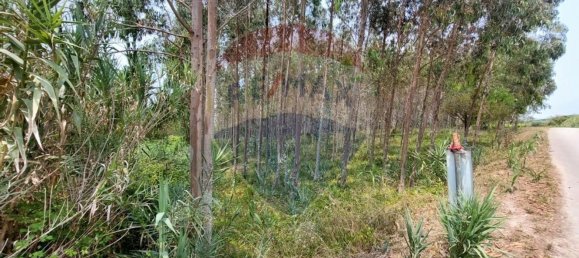 Земельный участок 3440м² в Назаре, Португалия № 60651 2