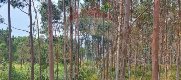 Земельный участок 3440м² в Назаре, Португалия № 60651 3