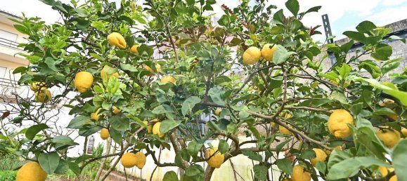 4 bedrooms House in Amadora, Portugal No. 173861 43