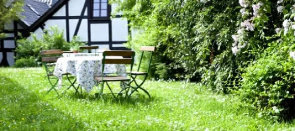 16 rooms Hotel in Dusseldorf, Germany No. 229051 33