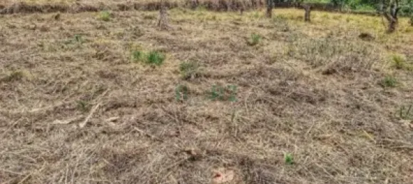 Terreno em Ourense, Spain 1200 m² N.º 140496 3