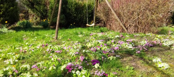 7 bedrooms House in Ogeviller, France No. 83783 16