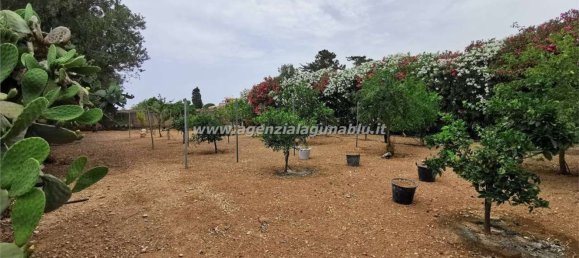 6غرفة فيلا في Marsala, Italy رقم 145954 3