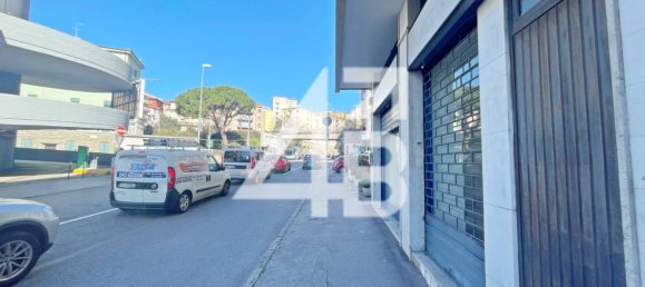 68m² Commercial property in Trieste, Italy No. 34975 4
