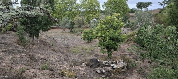 6 bedrooms House in Loule, Portugal No. 130180 26