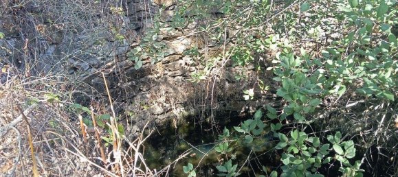 6 bedrooms House in Loule, Portugal No. 130180 11