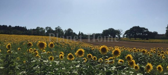 Casa T5 em Amelia, Italy N.º 215962 22