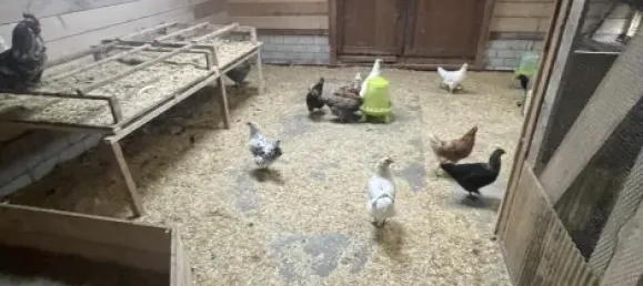 Таунхаус с 6 спальнями в Аурих, Германия № 150560 33