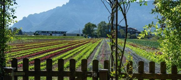 3 bedrooms House in Wals-Siezenheim, Austria No. 8637 8