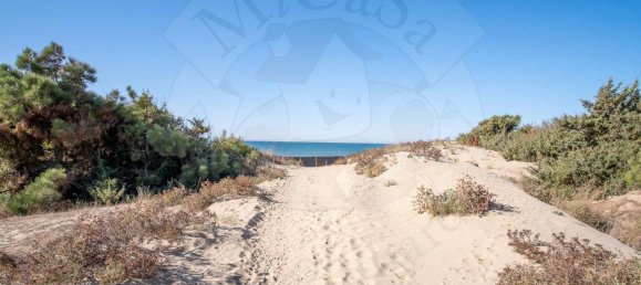 3 rooms Apartment in Pisa, Italy No. 172104 31