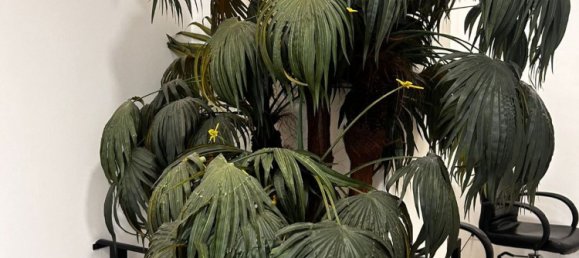  عقار تجاري في Rome, Italy 150متر مربع رقم 203047 10