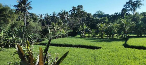 Hotel T19 em Ubud, Indonesia N.º 4442 2