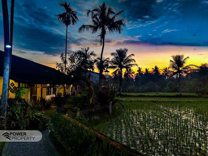 Hotel T19 em Ubud, Indonesia N.º 4442