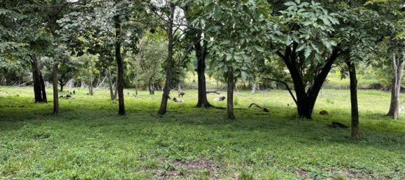 Land for sale in Alajuela, Costa Rica № 1655 6