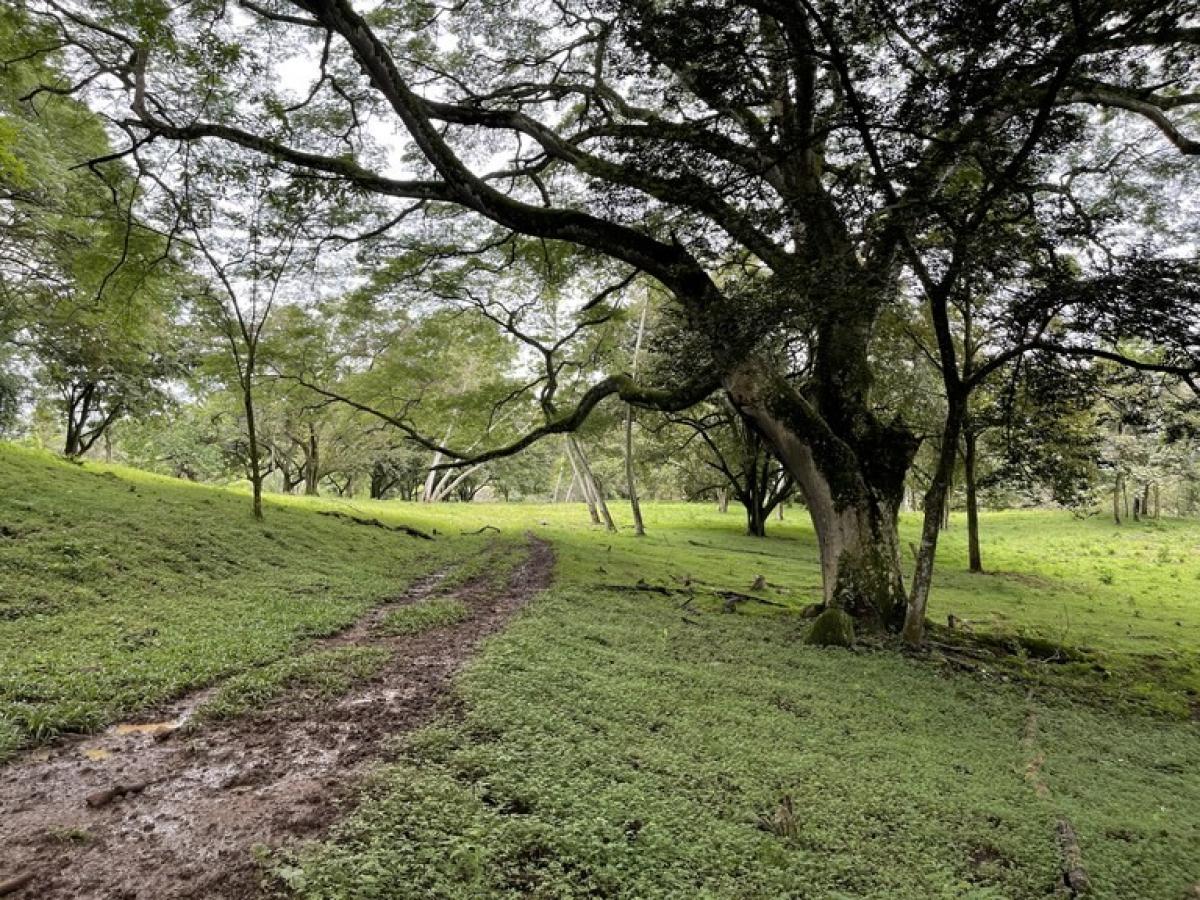 Land for sale in Alajuela, Costa Rica № 1655