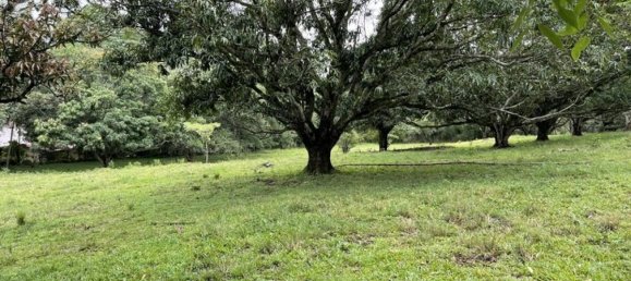 Land for sale in Alajuela, Costa Rica № 1655 3