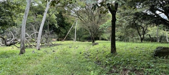 Land for sale in Alajuela, Costa Rica № 1655 4