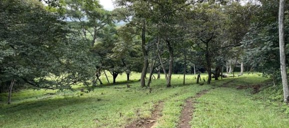 Land for sale in Alajuela, Costa Rica № 1655 2