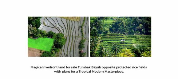 844m² Land in Canggu, Indonesia No. 3689 7