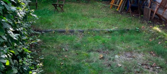 Gewerbliche Immobilie in Leipzig, Germany 30m², Nr. 364046 10