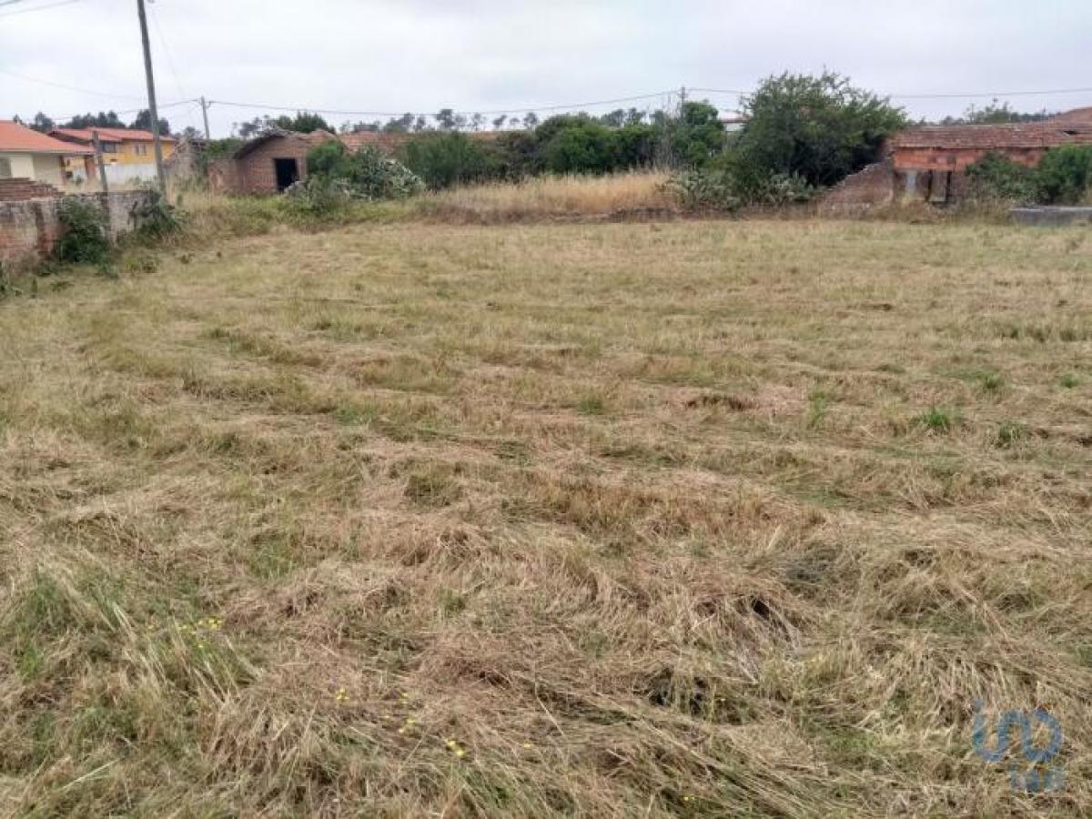  Land in Leiria, Portugal No. 2278