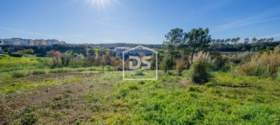 4873m² Land in Leiria, Portugal No. 221416 3