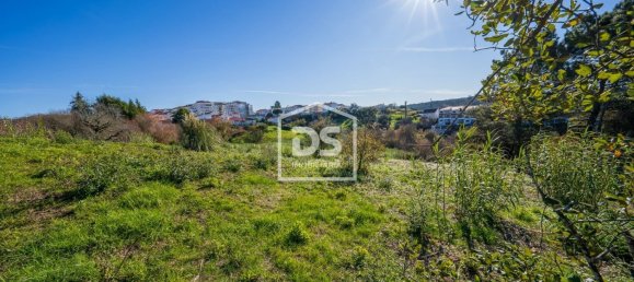 4873m² Land in Leiria, Portugal No. 221416 2