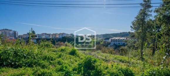 4873m² Land in Leiria, Portugal No. 221416 4