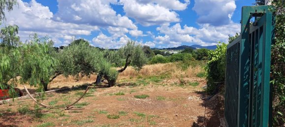 4 rooms Apartment in Lanuvio, Italy No. 277581 47