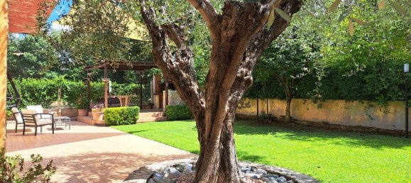 4 rooms Apartment in Lanuvio, Italy No. 277581 7