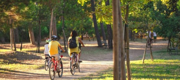 2-Zimmer Wohnung in Cesenatico, Italy, Nr. 159162 21