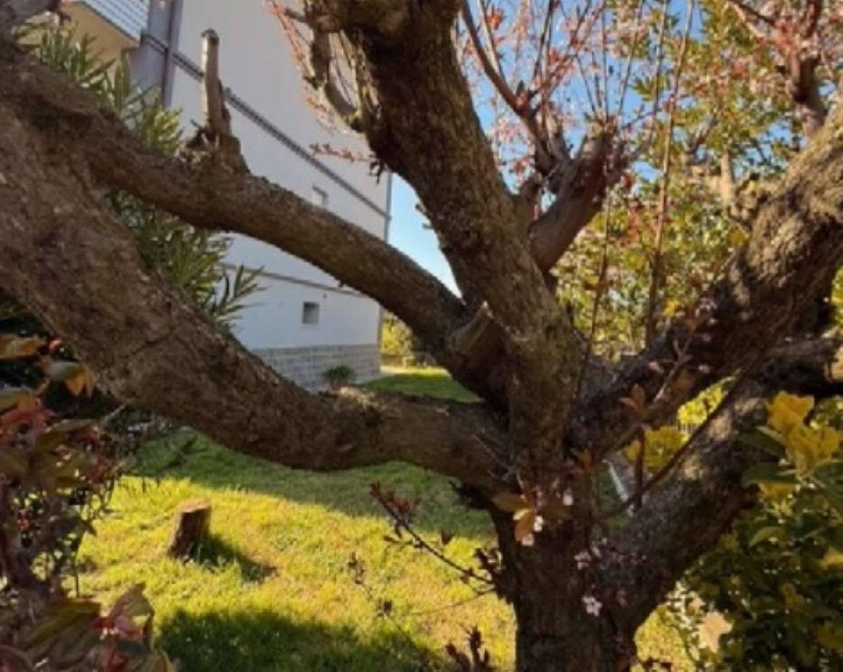 20 rooms House in Sassuolo, Italy No. 80809