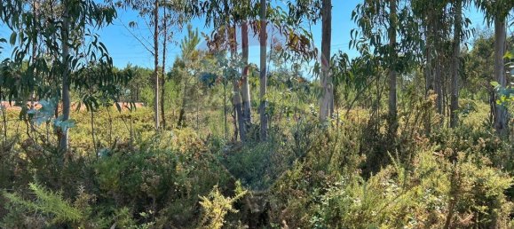 3450m² Land in Povoa de Varzim, Portugal No. 59037 2